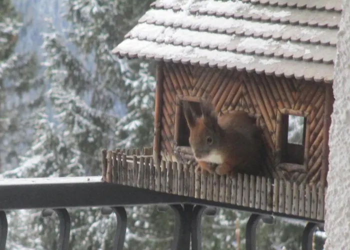 Semmering Villa Sonnenschein