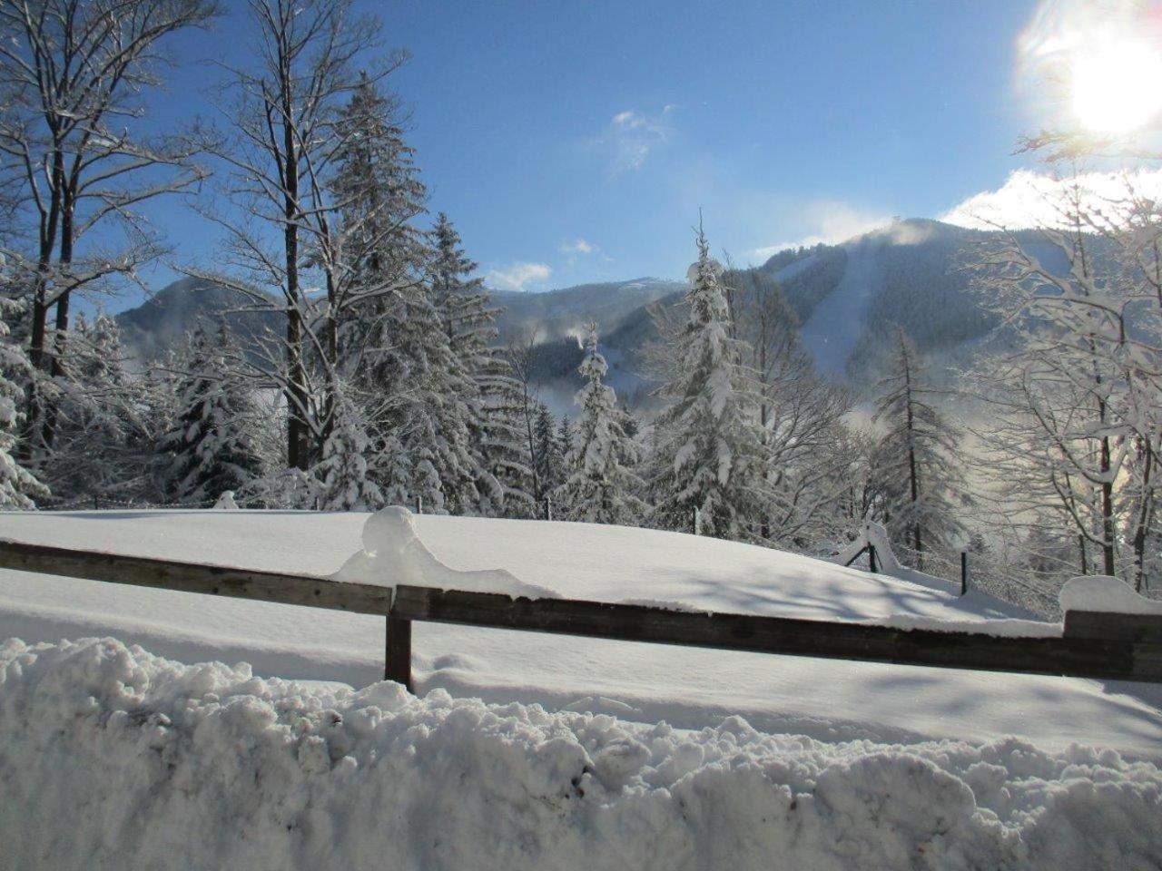 Sonnenschein Holiday home