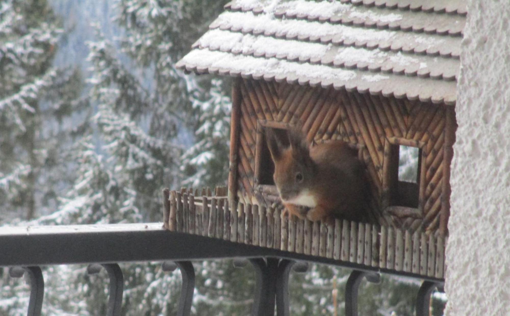 Sonnenschein Holiday home *